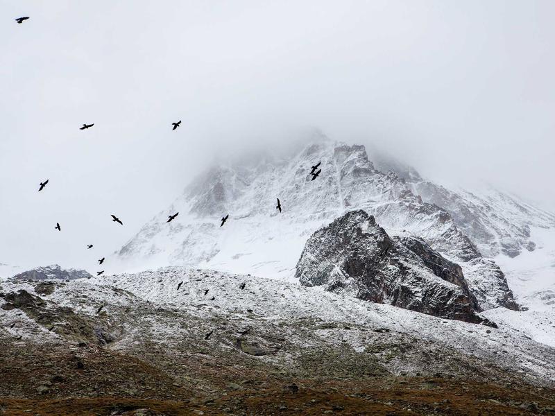 sudoku social features screenshot 3